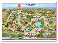 Sacramento Zoo 2019